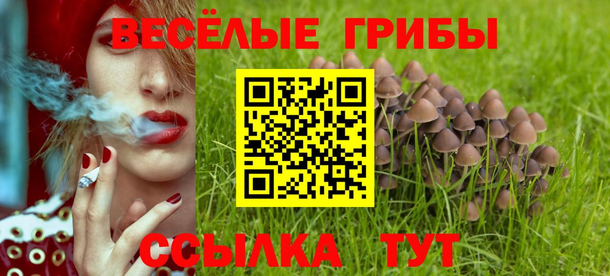 Видное  где купить наркотик  Вход с VPN  Галлюциногенные грибы MAGIC MUSHROOMS 